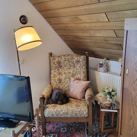 Gute Aussicht Apartment